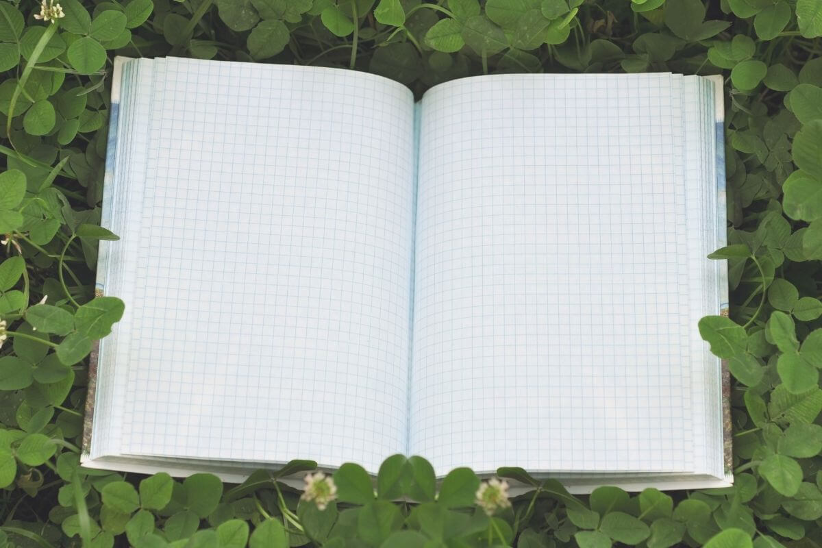 low-content-and-no-content-books